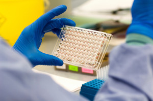 Lab technician doing blood experiments.