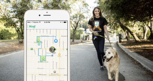 Wag On Demand Dog Walking App In Washington DC
