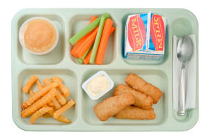 School Food Fish Sticks