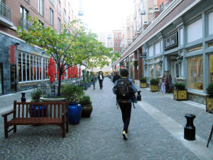 Travel Trip 5 Free Things DC Maryland Suburbs