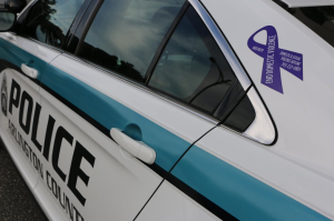 Purple Ribbon Arlington County