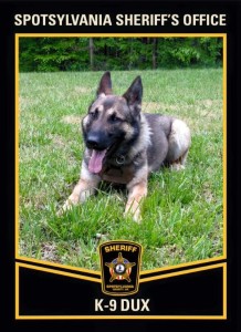 K 9.Dux