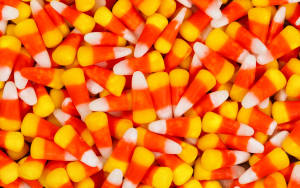 Candy corn for the Halloween season
