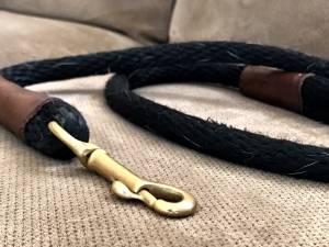 Leash closeup