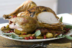 Food Thanksgiving Sage Turkey