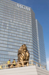LION4