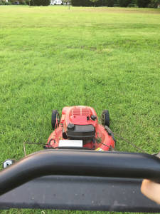 Lawn after