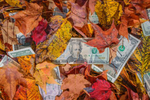 Fall Cash