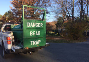 Bear trap