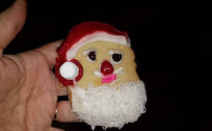 Christmas cookie