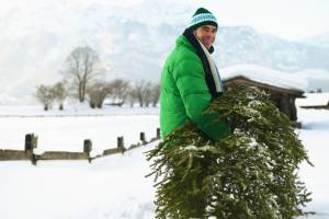 Mature man carrying Christmas tree, smiling, portrait