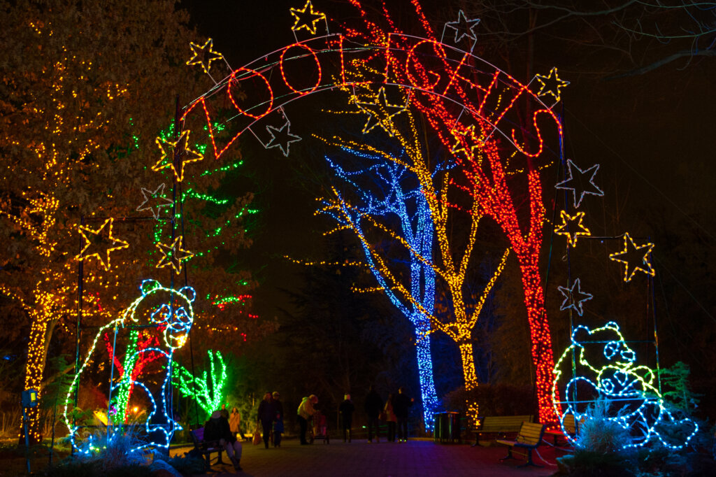 ZOOLIGHTS