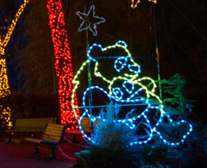 ZOOLIGHTS