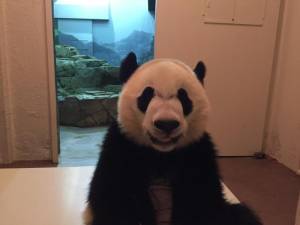 Bei Bei