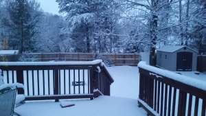 Snow kathy stewart