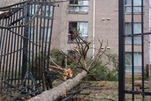 St. charles md storm damage