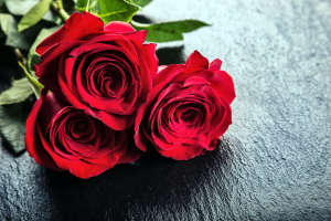Red roses. Bouquet of red roses. Valentines and wedding border.