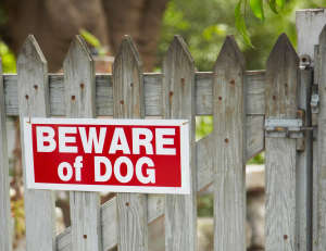 Beware of dog sign on gate in fence