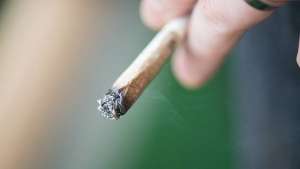 Getty 22717 marijuana