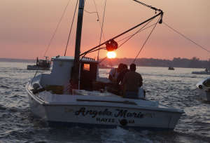Chesapeake Bay Report