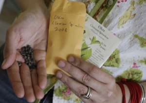 Gardening Seed Swaps