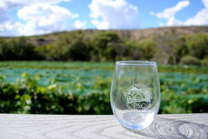 Travel Trip Arizona Wine Trail