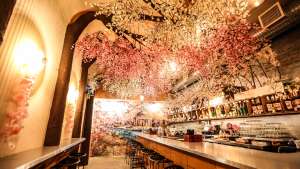 CherryBlossom