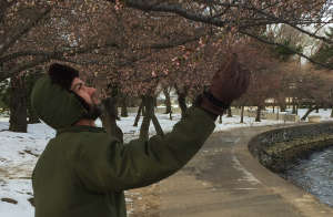 Tree checking NPS