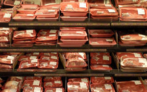 Salmonella in Poultry