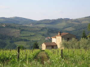 TRAVEL TUSCAN COOKING