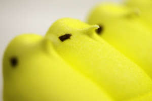 Peeps Portrait