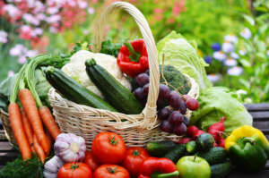 Fresh organic vegetables in wicker basket in the garden