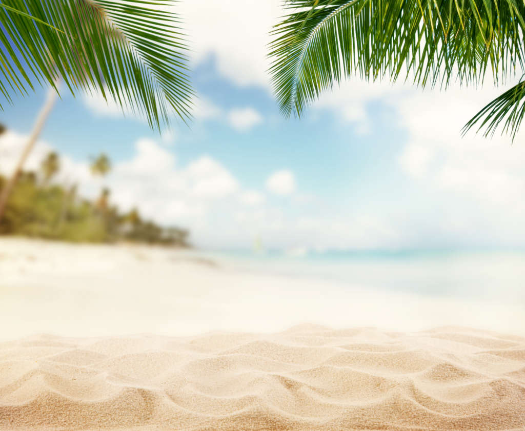 Summer sandy beach with blur ocean on background. Palm leaves on foreground