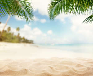 Summer sandy beach with blur ocean on background. Palm leaves on foreground