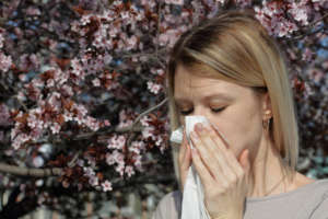 Pollen allergy, Springtime. Woman sneezing in a tissue outdoors