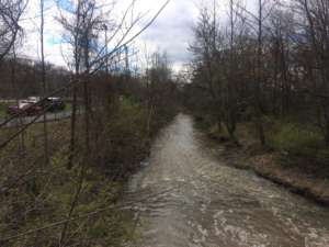 Bodylakecleanup2 DU