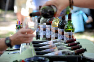 Wine Fest