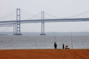 Chesapeake Bay Cleanup