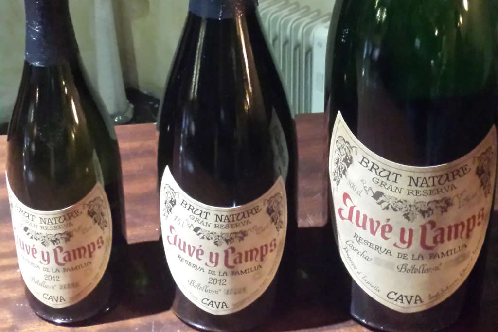 Cava