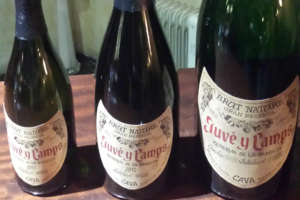 Cava