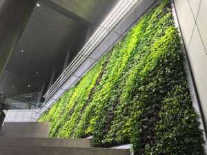 GREENWALL3