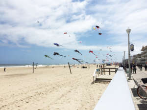 Ocean City Feature