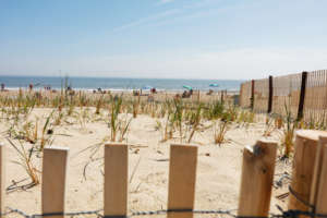 Rehoboth