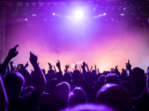 Concert Crowd