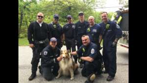 Dog rescued md