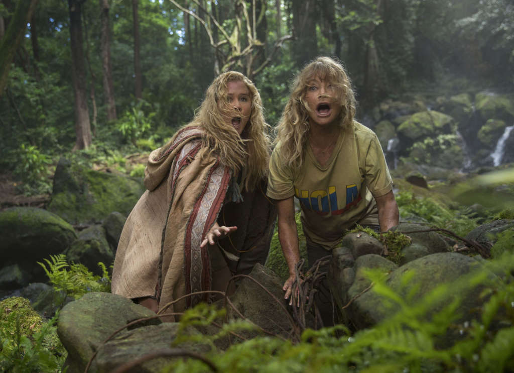 Film Review Snatched