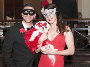 Bark Ball