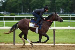 149th Belmont Stakes Previews