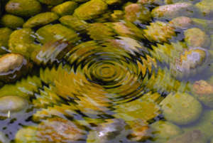 Ripple water