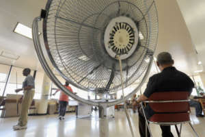 Electric Fans Elderly